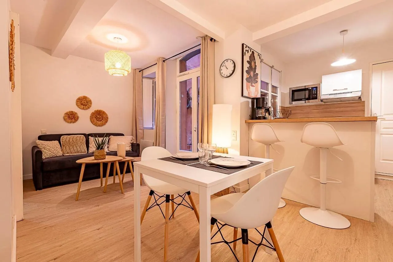 Love Cocoon With Beautiful Terrace Toulouse Apartment