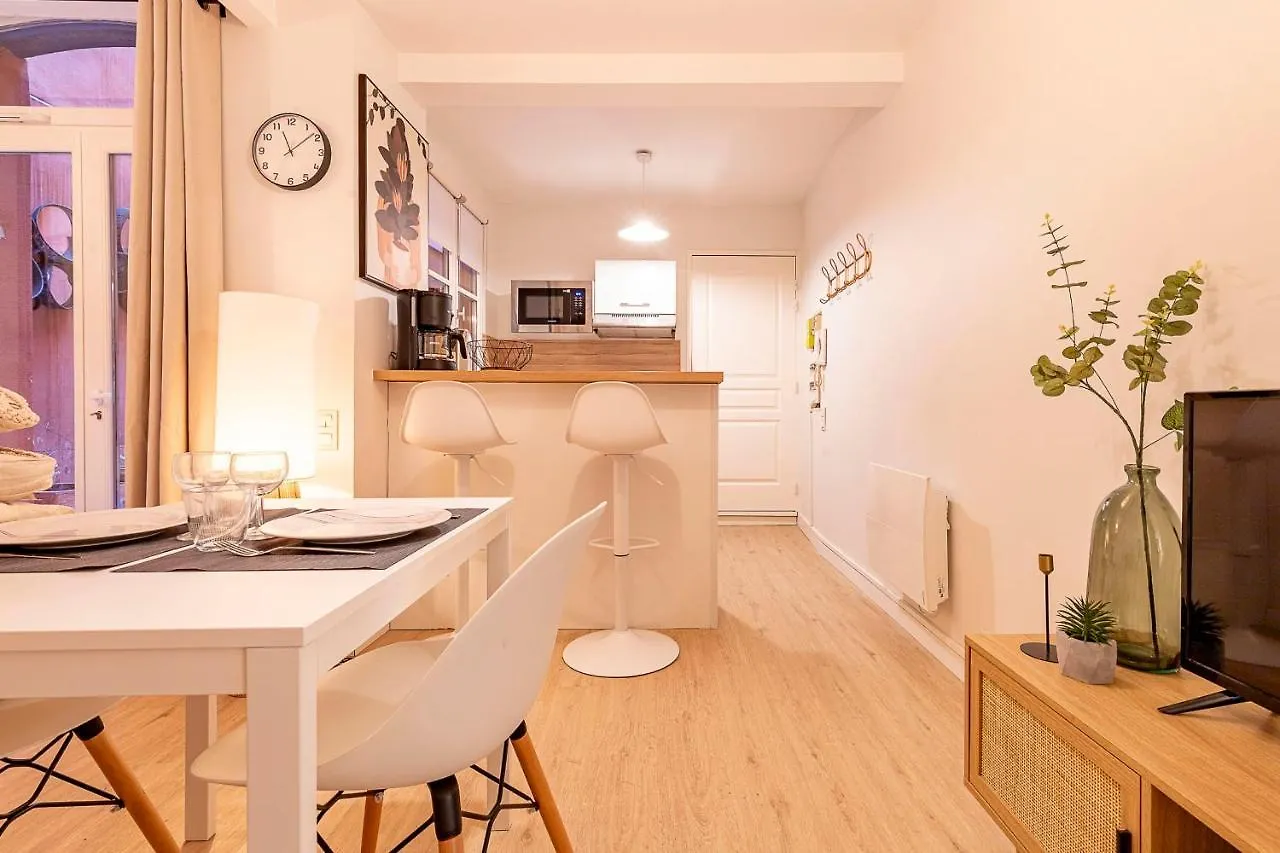 Love Cocoon With Beautiful Terrace Toulouse Apartment